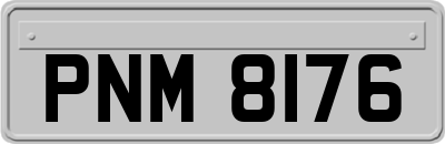 PNM8176