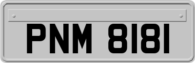 PNM8181