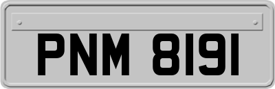 PNM8191