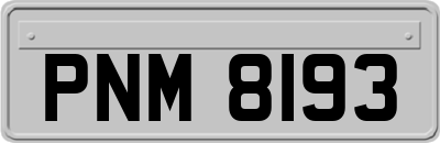 PNM8193