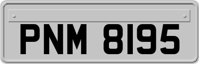 PNM8195