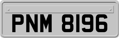 PNM8196