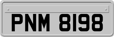 PNM8198