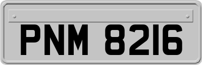 PNM8216