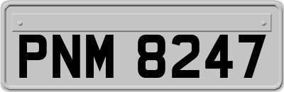 PNM8247