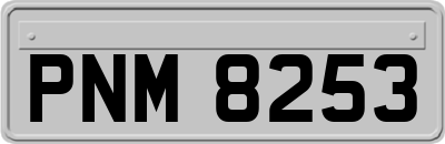 PNM8253