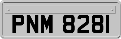 PNM8281