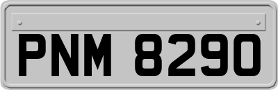PNM8290