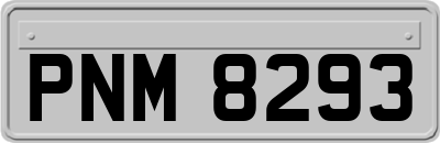 PNM8293
