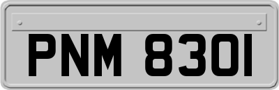 PNM8301