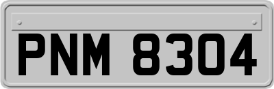 PNM8304