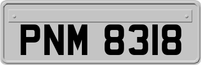 PNM8318
