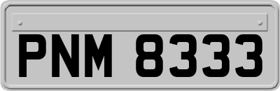 PNM8333