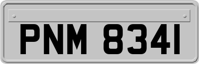 PNM8341