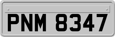PNM8347