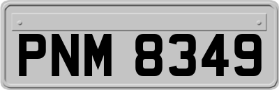 PNM8349