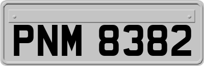 PNM8382