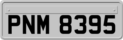 PNM8395