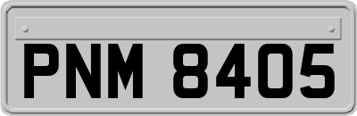 PNM8405