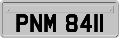 PNM8411