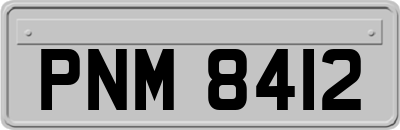 PNM8412