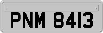 PNM8413
