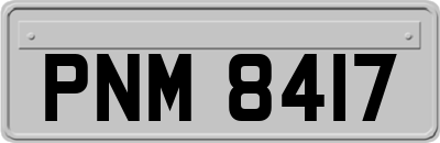 PNM8417