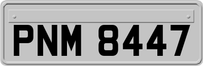 PNM8447