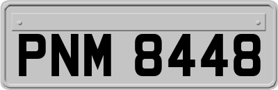 PNM8448