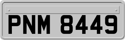 PNM8449