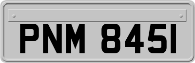 PNM8451