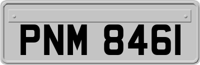 PNM8461
