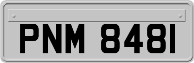 PNM8481
