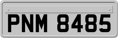 PNM8485