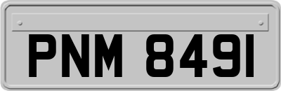 PNM8491