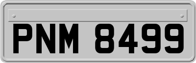 PNM8499