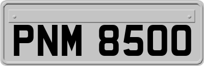 PNM8500