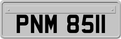 PNM8511
