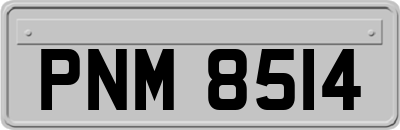 PNM8514
