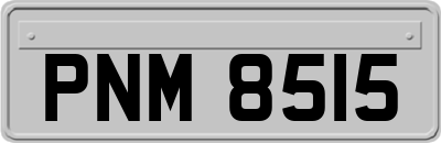 PNM8515