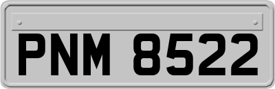 PNM8522