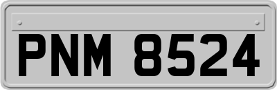 PNM8524