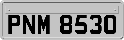 PNM8530