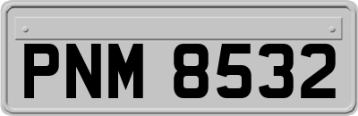 PNM8532