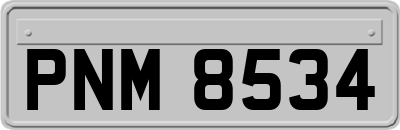 PNM8534