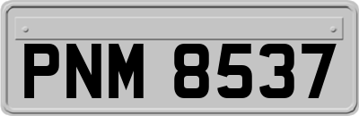 PNM8537