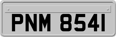 PNM8541