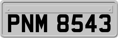 PNM8543