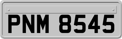 PNM8545