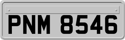 PNM8546